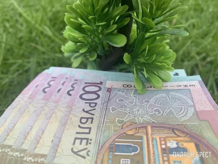 Зарплаты до 3500 рублей. Какие вакансии предлагают белорусам для работы без высшего образования? Зарплаты до 3500 рублей. Какие вакансии предлагают белорусам для работы без высшего образования?