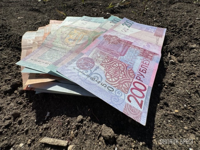 В Беларуси ищут работников на зарплату от 4000 рублей. Кому готовы столько платить?